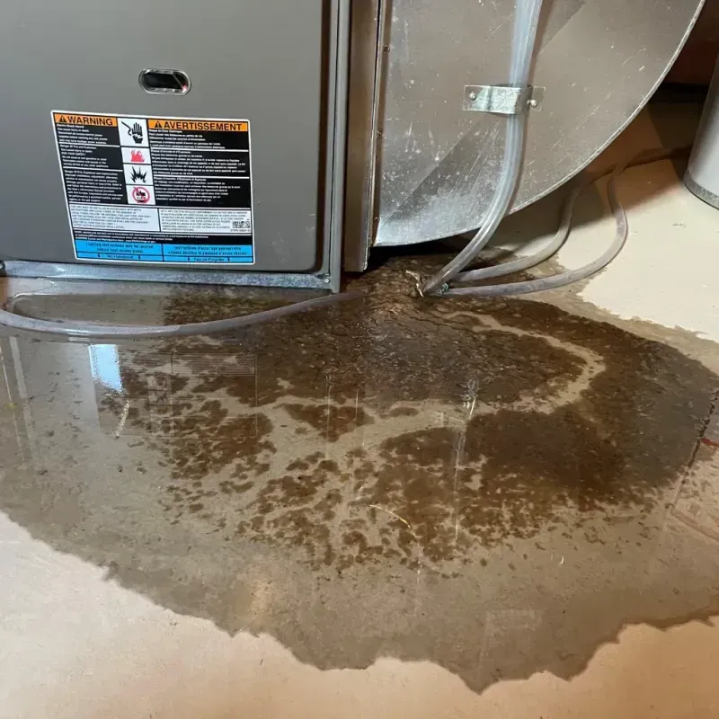 Appliance Leak Cleanup in Cayuga, IN